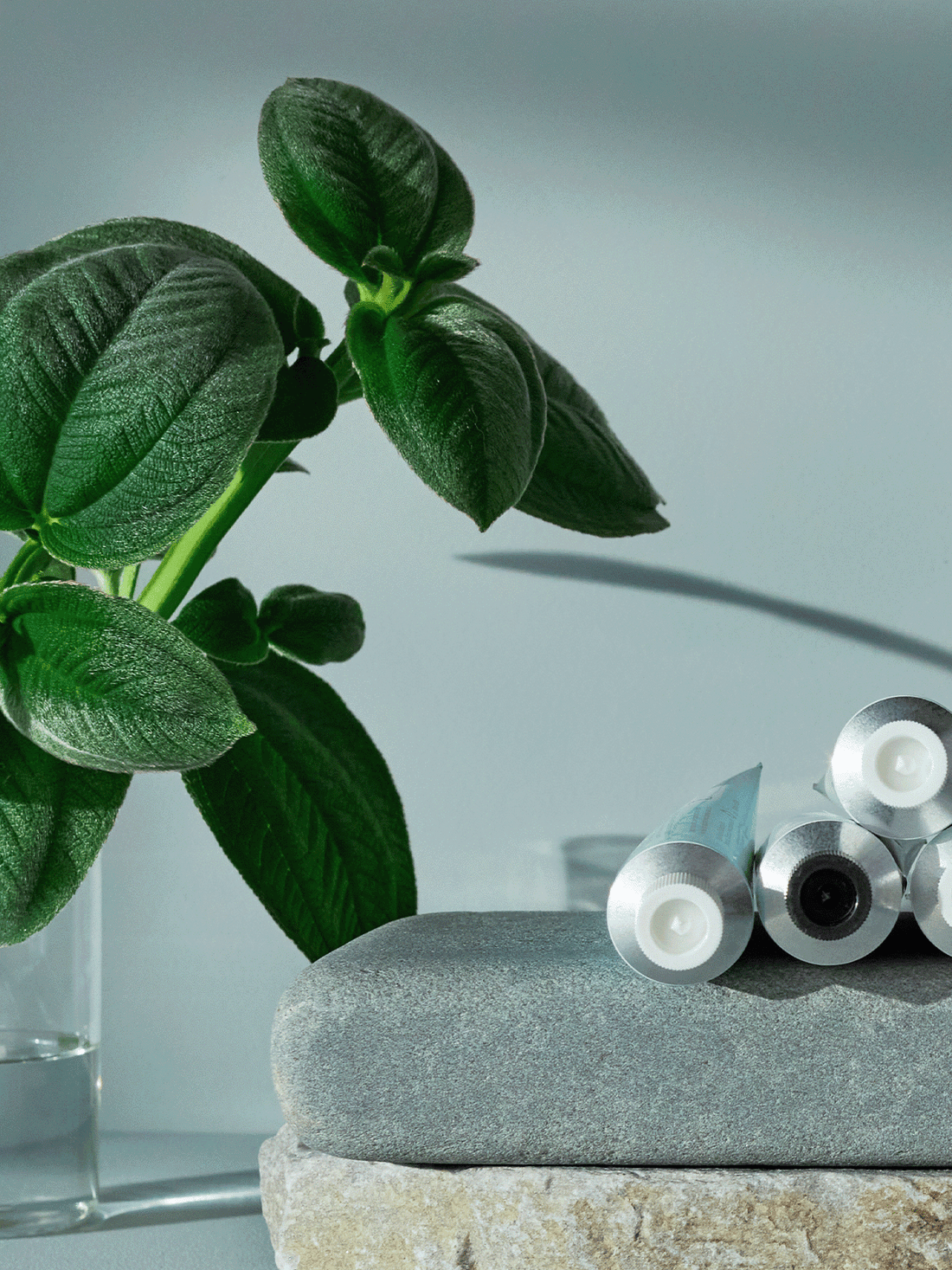 Green leaves in a clear glass vase next to stacked stones and toothpaste tubes on a light surface