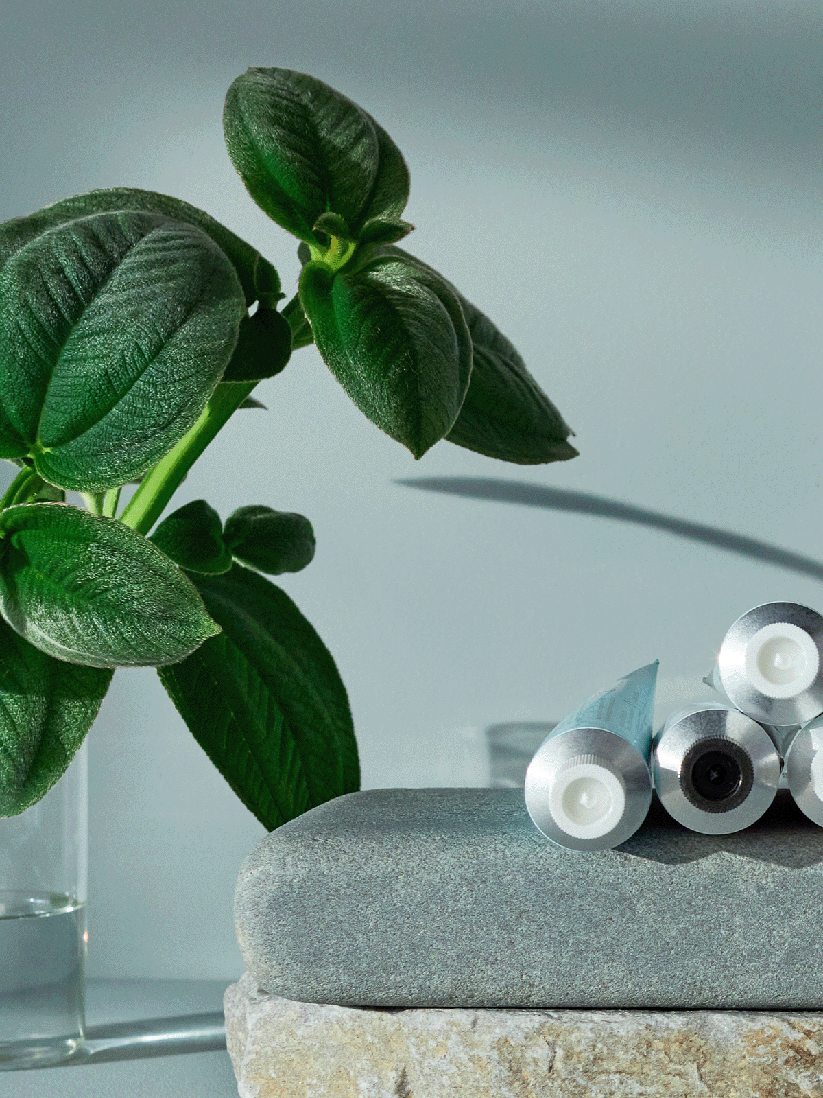 Green leaves in a clear glass vase next to stacked stones and toothpaste tubes on a light surface